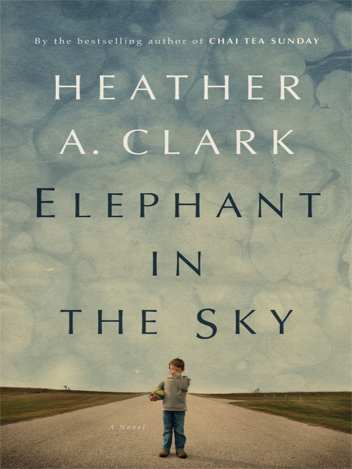 Cover image for Elephant in the Sky